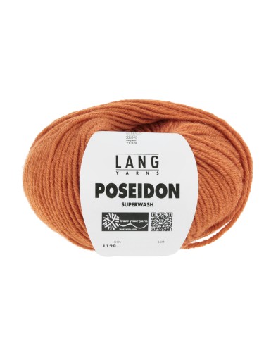 Lang Yarns Poseidon Vitamine (0059)