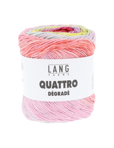 Lang Yarns Quattro Degrade Rose Garden (0012)