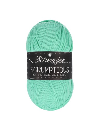 Scheepjes Scrumptious Mint Whoopie Pie (340)